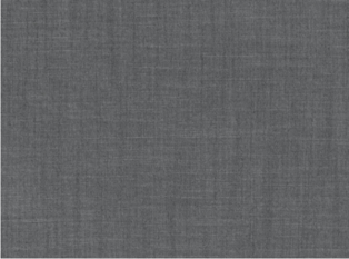 Veranda Storm Fabric by Mark Alexander 