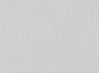 Whisper Silvershell Fabric by Mark Alexander 