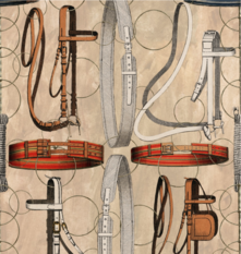 Equestrian Equipment Light Wallpaper by Mind the Gap