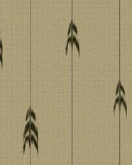 Fir Pattern Wallpaper by Mind the Gap