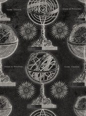 Armillary Black Wallpaper by Mind The Gap 