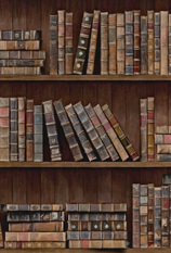 Book Shelves Wallpaper by Mind The Gap 