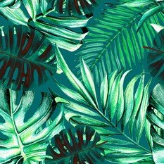 Rainforest Wallpaper by Mind The Gap 
