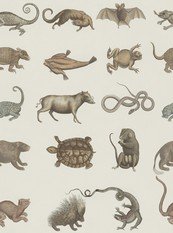 Ark of Seba Wallpaper by Mind The Gap