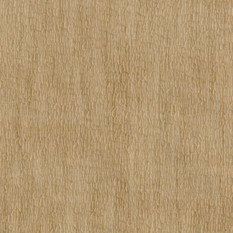 Gouge Wallcovering by Nobilis