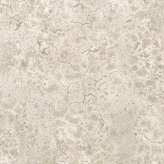 Moon Wallcovering by Nobilis