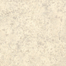 Moon Wallcovering by Nobilis