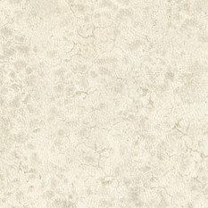 Moon Wallcovering by Nobilis