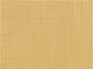 Dune Iora by Romo