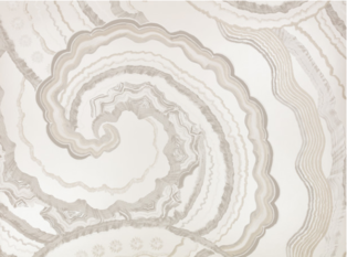 Fantasia Wallcovering Luna by Temperley London x Romo