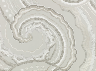 Fantasia Wallcovering Quartz by Temperley London x Romo