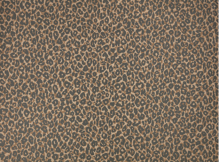 Kitty Wallcovering Tan by Temperley London x Romo