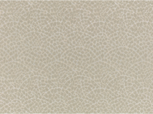 Lulu Briosca Fabric by Temperley London x Romo
