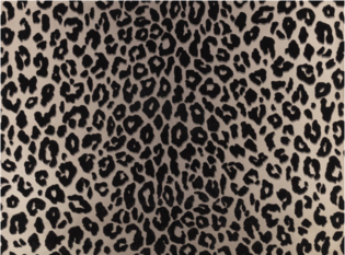 Mimi Wallcovering Kohl by Temperley London x Romo