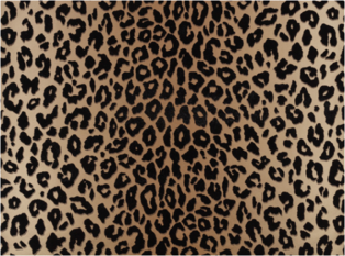 Mimi Wallcovering Tan by Temperley London x Romo