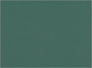 Osumi Spruce by Romo
