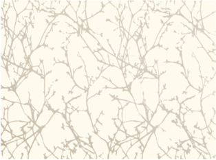 Arbor Whitewash Wallcovering by Romo