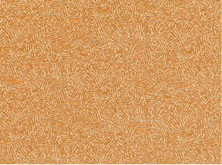 Romo Kaiko Pumpkin Fabric