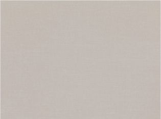 Romo Miro Feather Grey Fabric