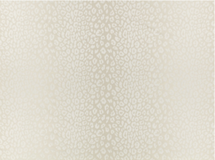 Saskia Pearl Fabric by Temperley London x Romo