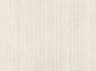Black Edition Abiko Champagne Fabric
