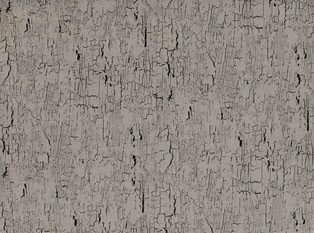 Black Edition Antica Gunmetal Fabric