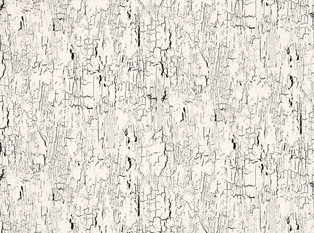 Black Edition Antica Whitewash Fabric