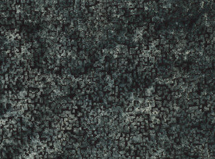 Black Edition Inachi Eucalyptus Fabric