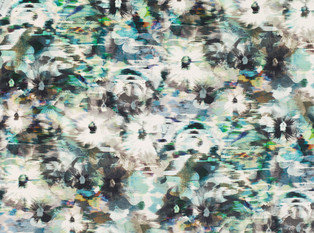 Black Edition Kansai Velvet Peacock Fabric
