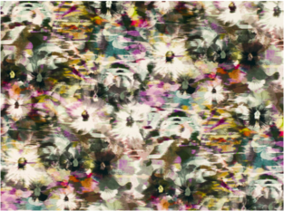 Black Edition Kansai Velvet Zinnia Fabric