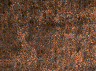 Black Edition Koto Bronze Fabric
