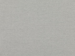Black Edition Miskina Turtle Dove Fabric