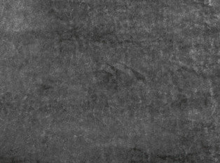 Black Edition Musa Grey Seal Fabric