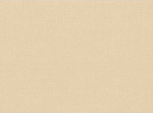 Romo Linara Putty