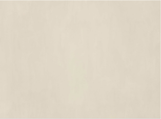 Daze Wallcovering Birch by Villa Nova 