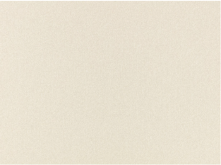 Dorney Birch Fabric by Villa Nova 