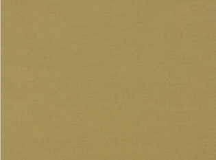 Geneva Pear Fabric by Villa Nova 