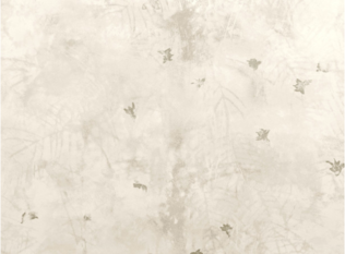 Ostara Birch Wallcovering by Villa Nova