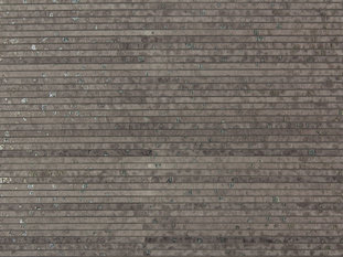 Flirt Wallcovering by Zimmer & Rohde 