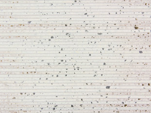Flirt Wallcovering by Zimmer & Rohde 