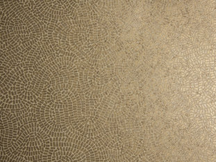 Neptune Wallcovering by Zimmer & Rohde 