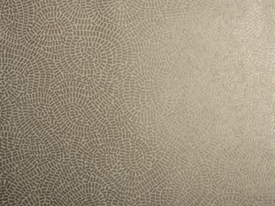 Neptune Wallcovering by Zimmer & Rohde 