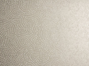 Neptune Wallcovering by Zimmer & Rohde 