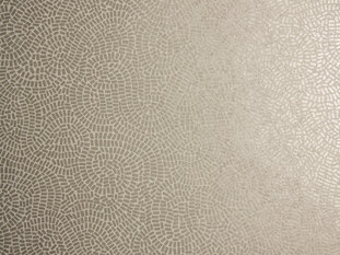Neptune Wallcovering by Zimmer & Rohde 