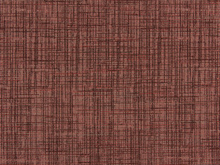 Play Fabric by Zimmer & Rohde 