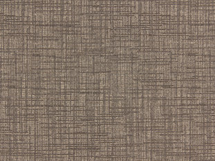 Play Fabric by Zimmer & Rohde 