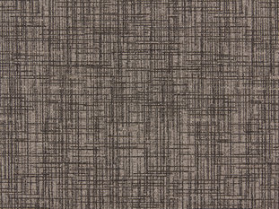 Play Fabric by Zimmer & Rohde 