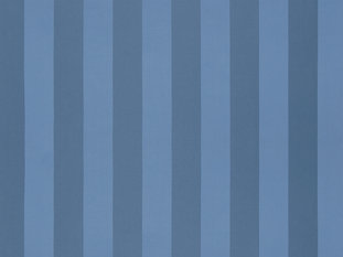 Solice Stripe Fabric by Zimmer & Rohde 