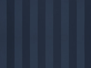 Solice Stripe Fabric by Zimmer & Rohde 