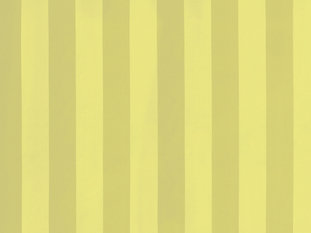 Solice Stripe Fabric by Zimmer & Rohde 